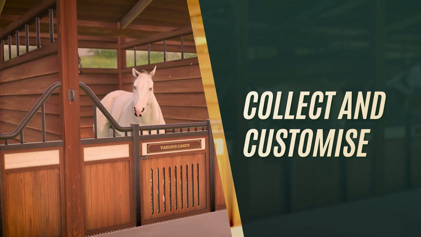 Clip My Horse TV Trailer